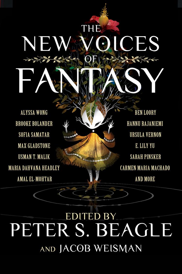 The New Voices of Fantasy book cover