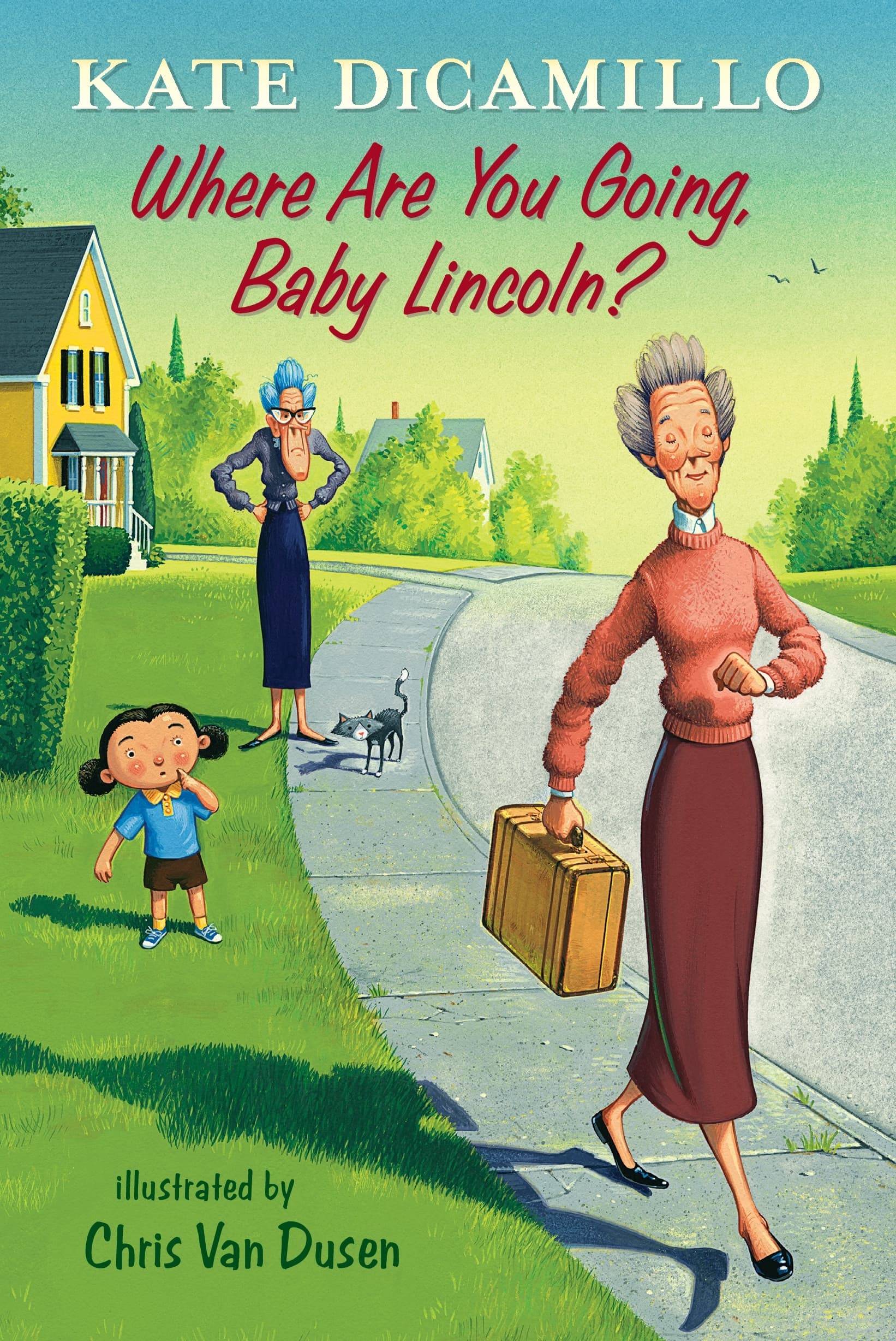 Where Are You Going, Baby Lincoln? book cover