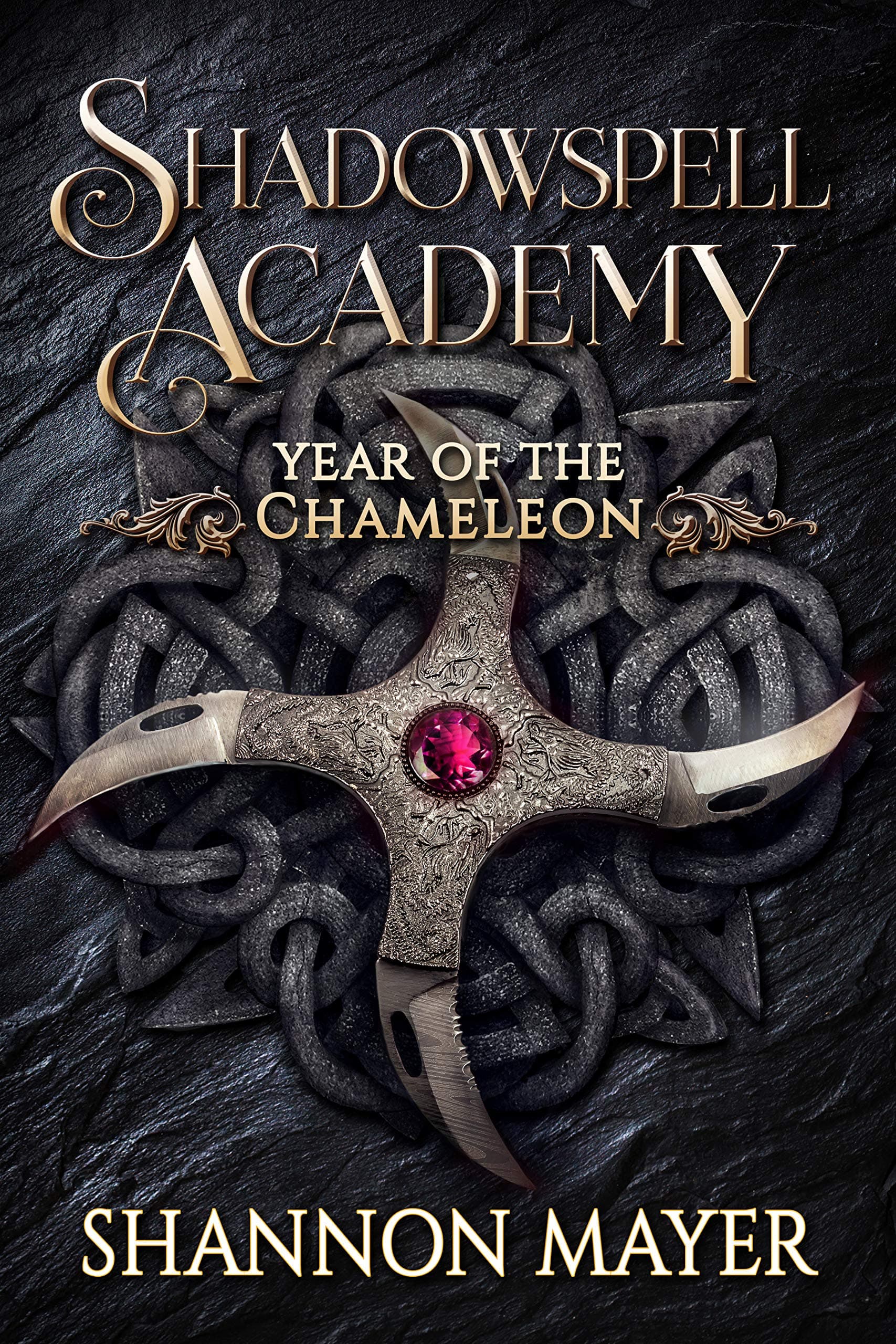 Year of the Chameleon book cover