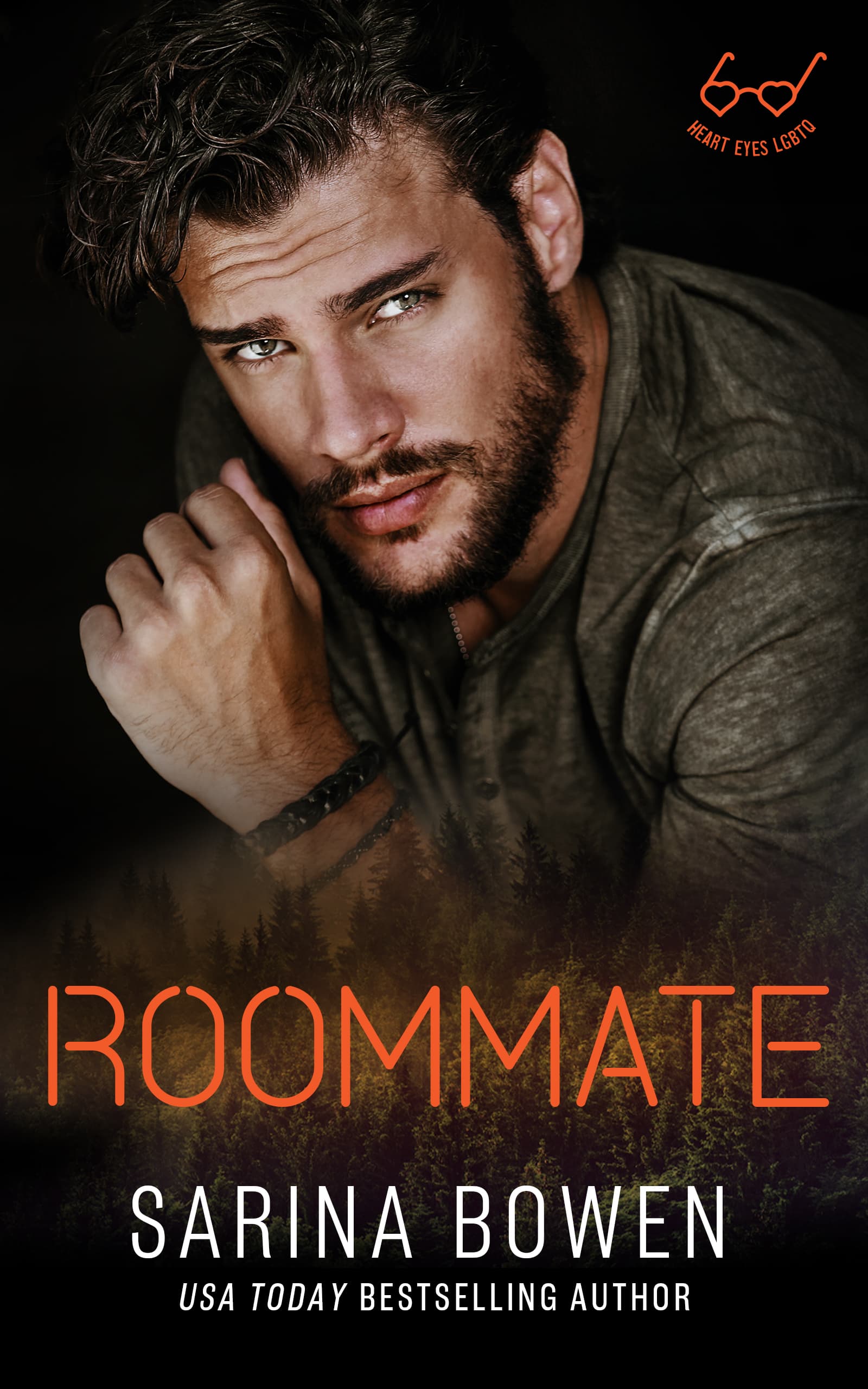 Roommate book cover