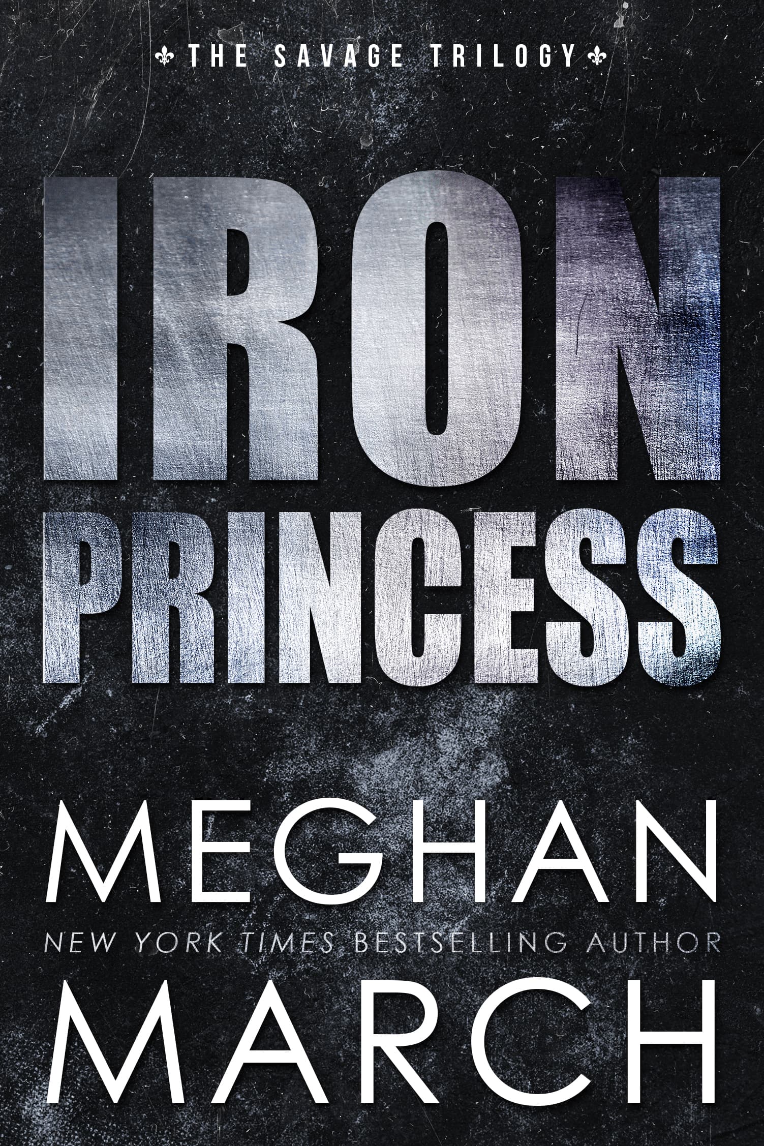 Iron Princess book cover