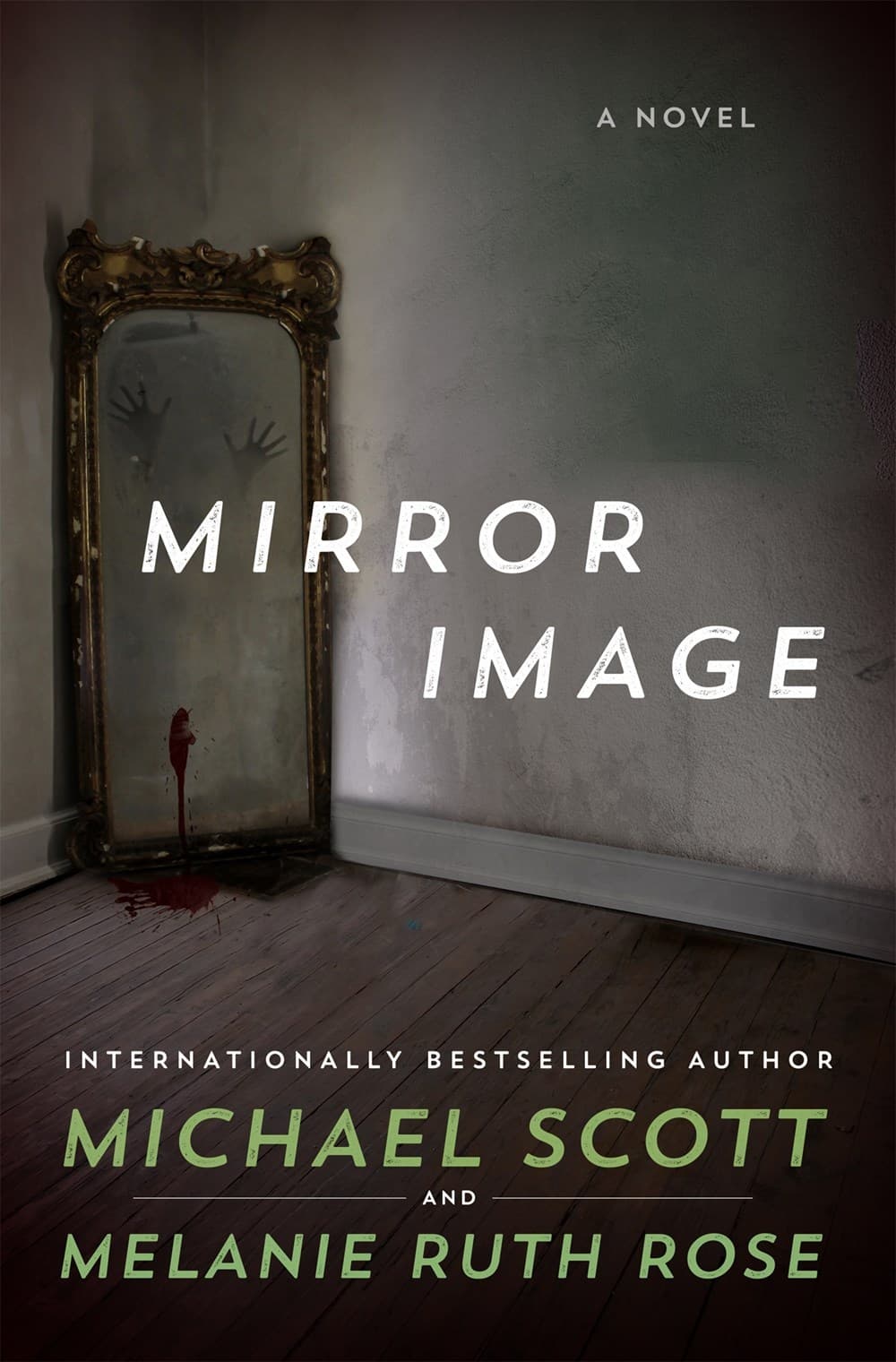 Mirror Image book cover