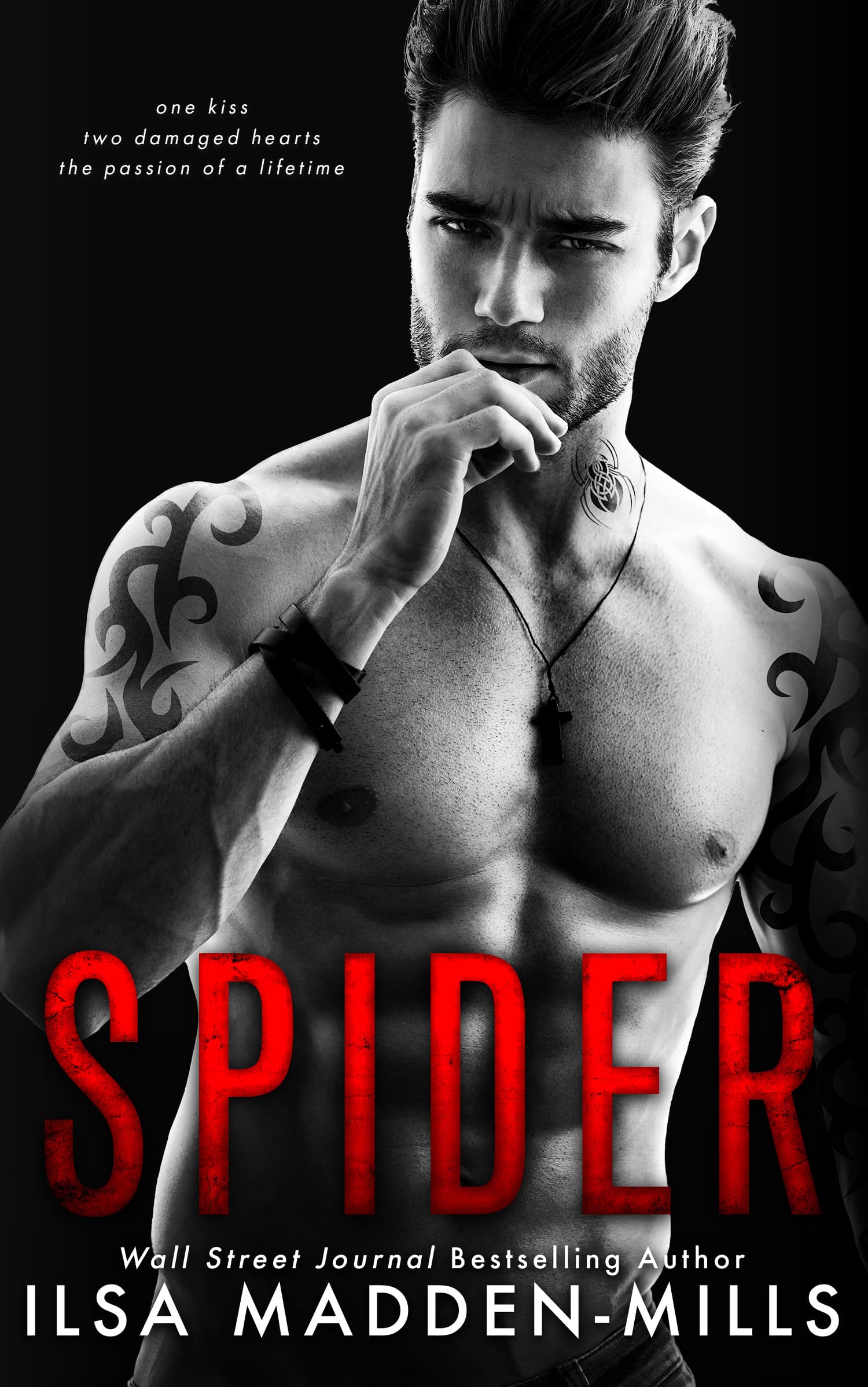 Spider book cover