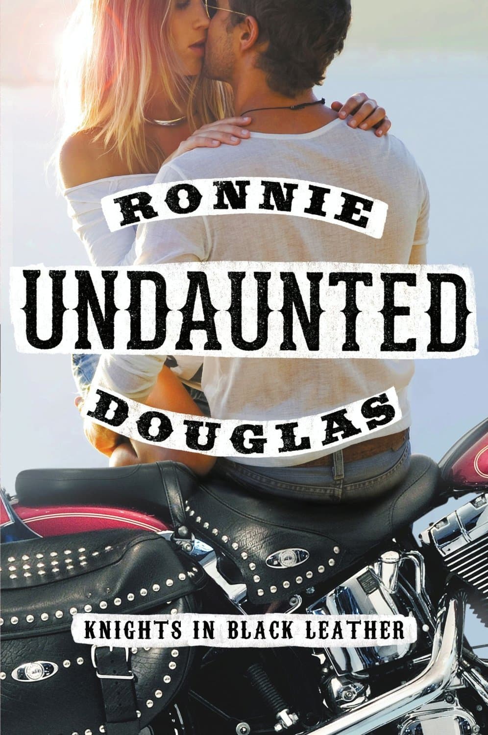 Undaunted book cover