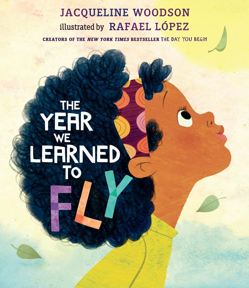 The Year We Learned to Fly book cover