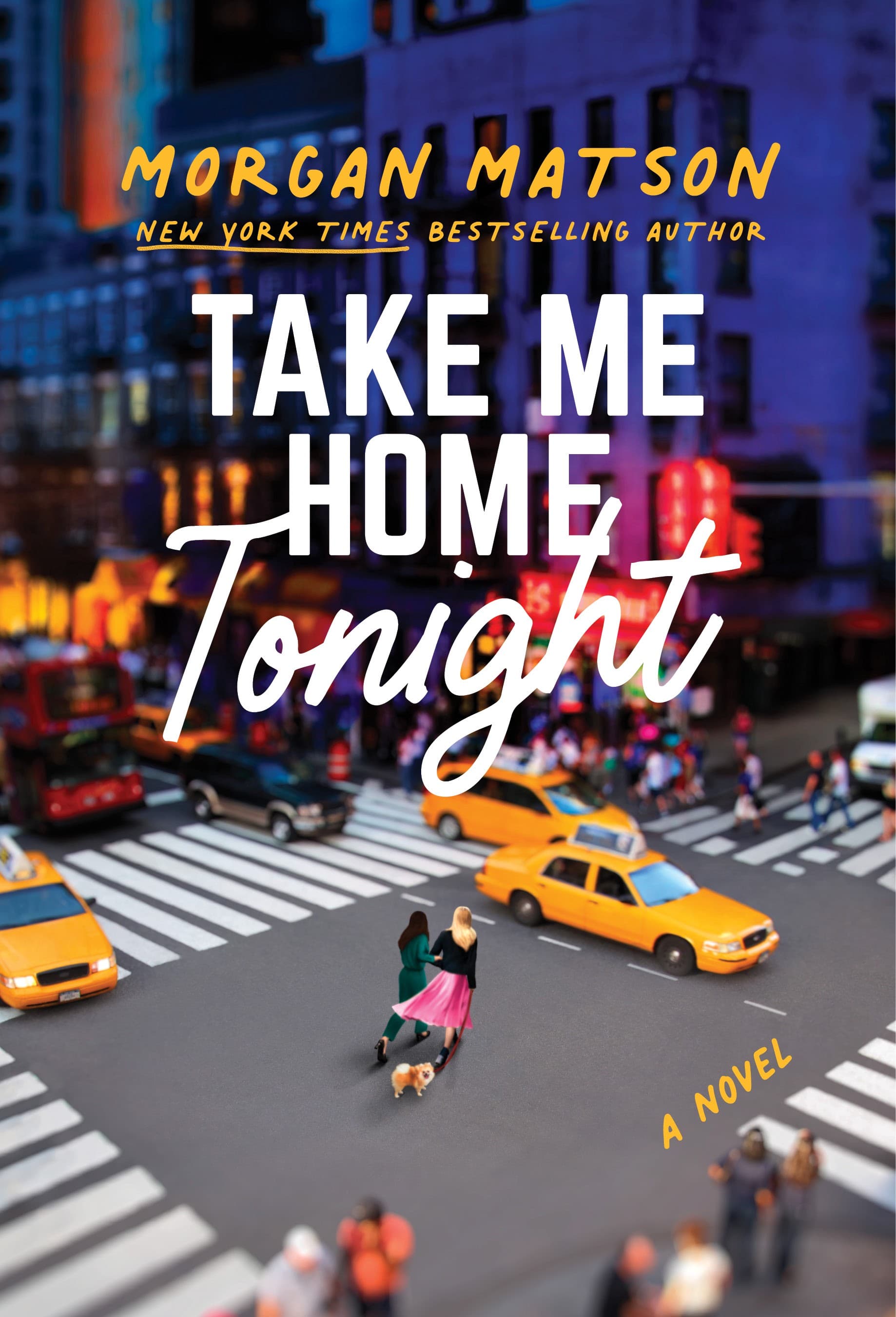 Take Me Home Tonight book cover