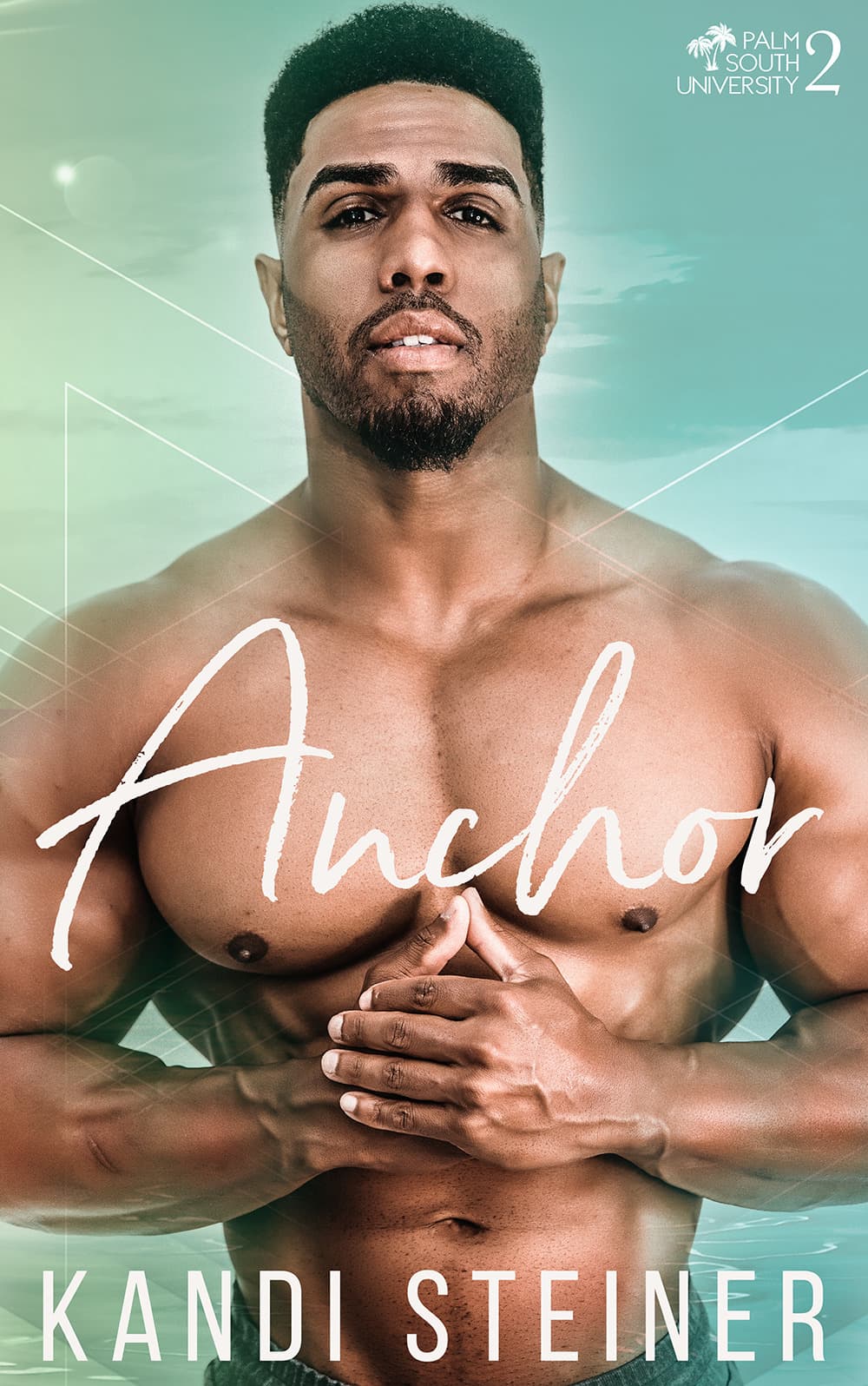 Anchor book cover