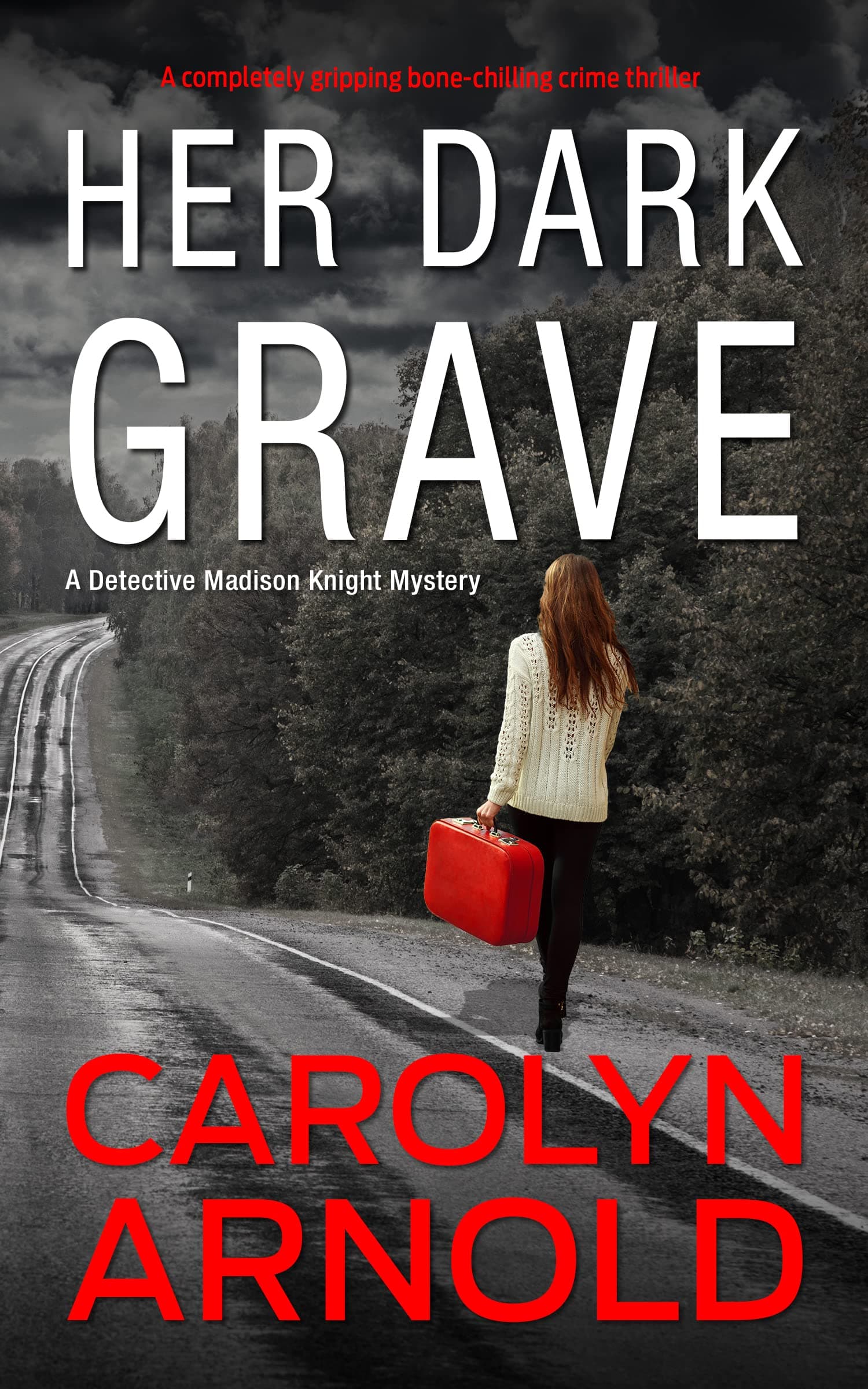 Her Dark Grave book cover