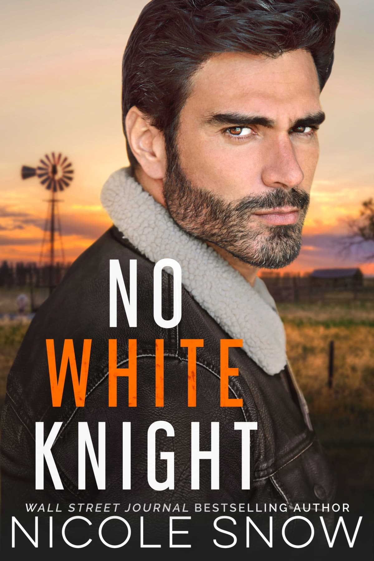 No White Knight book cover