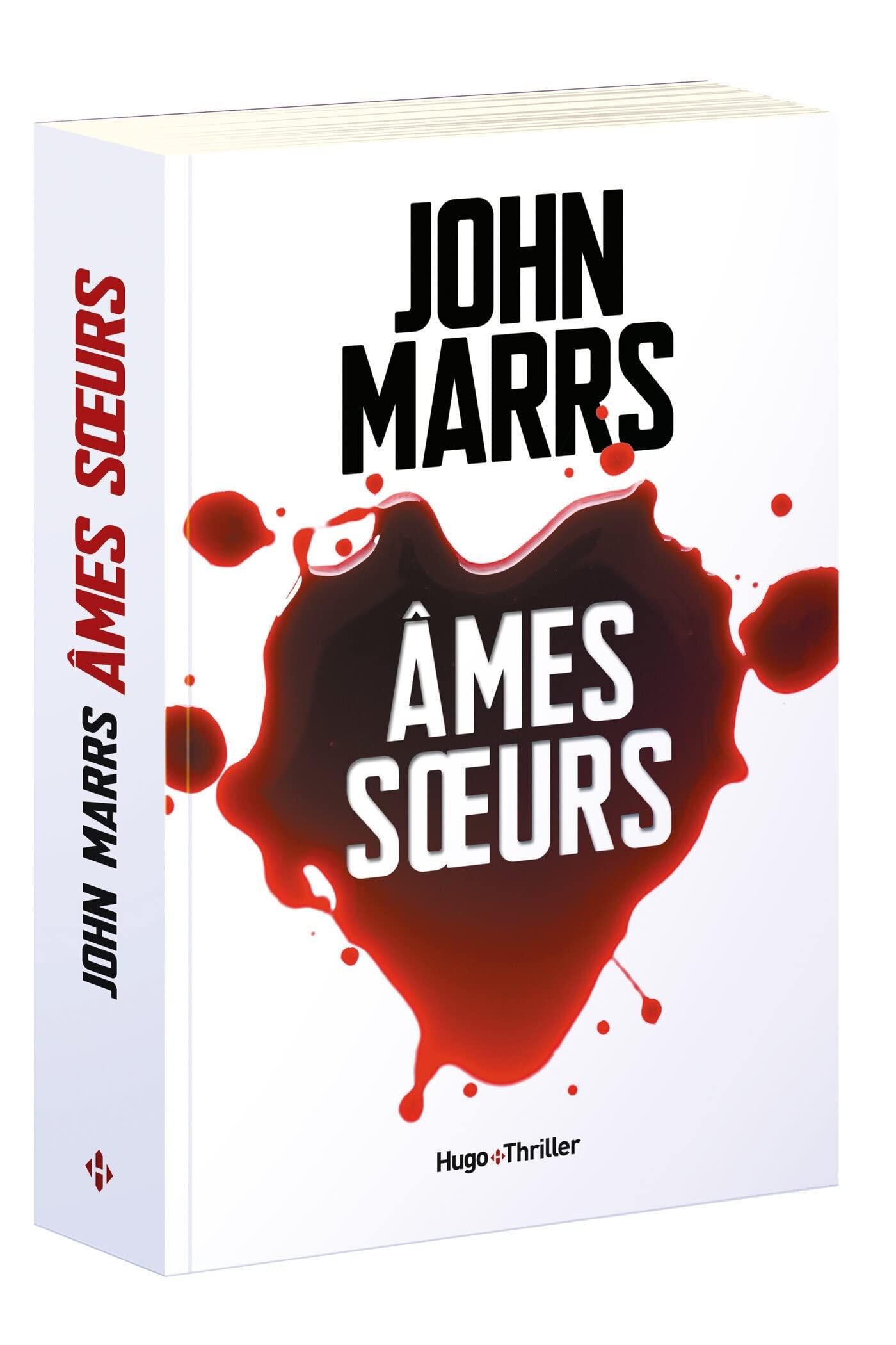 Ames soeurs -Extrait offert- book cover