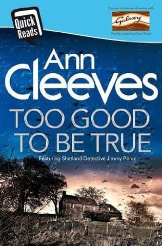 Too Good To Be True book cover