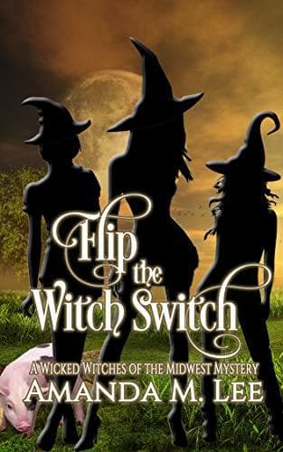 Flip the Witch Switch book cover