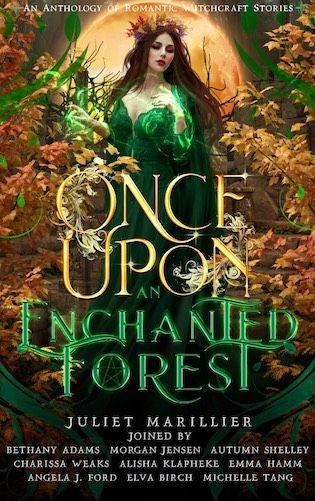 Once Upon An Enchanted Forest: An Anthology of Romantic Witchcraft Stories book cover