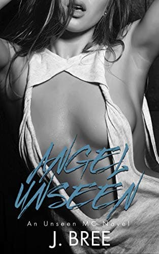 Angel Unseen book cover