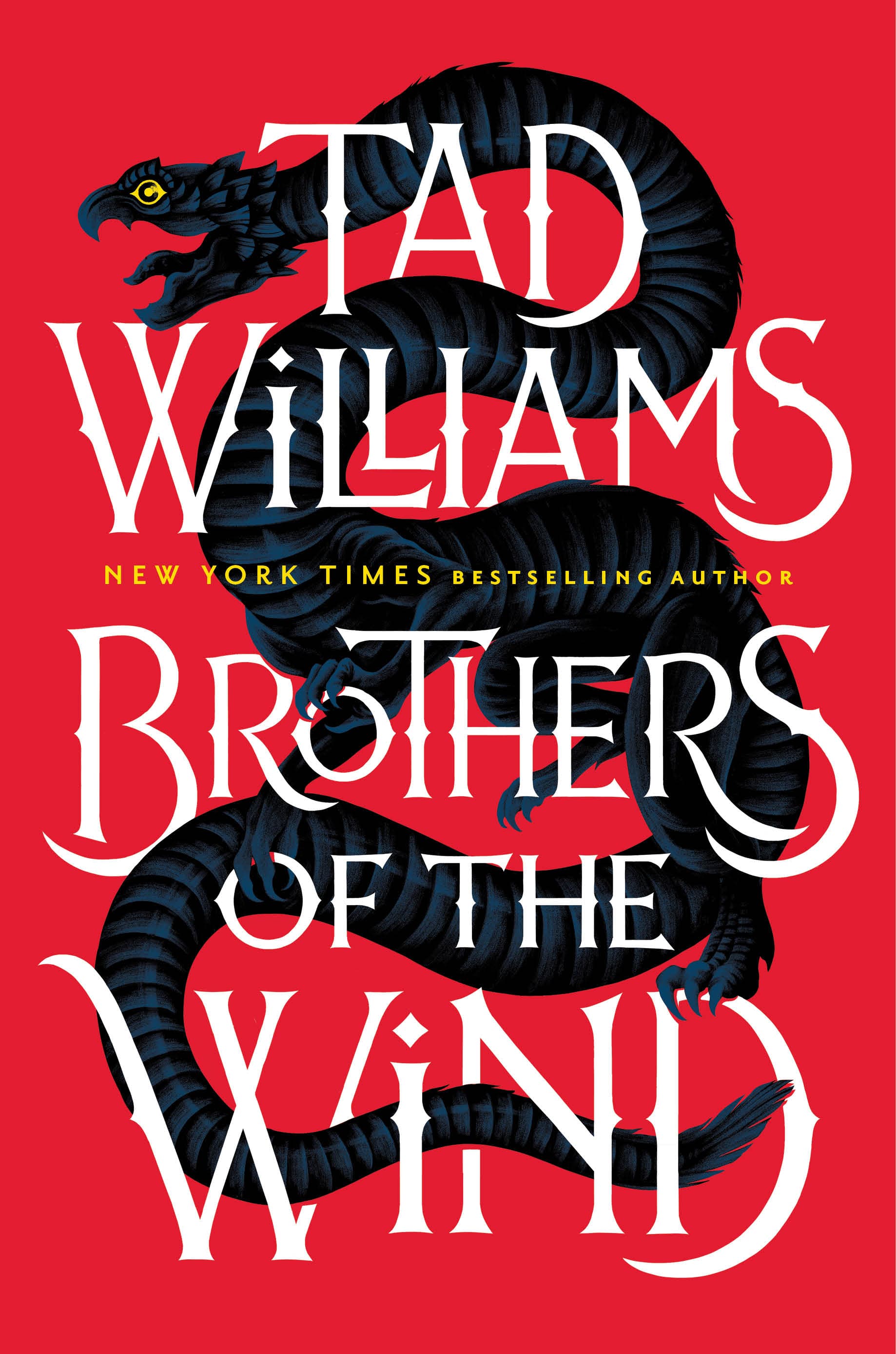 Brothers of the Wind book cover