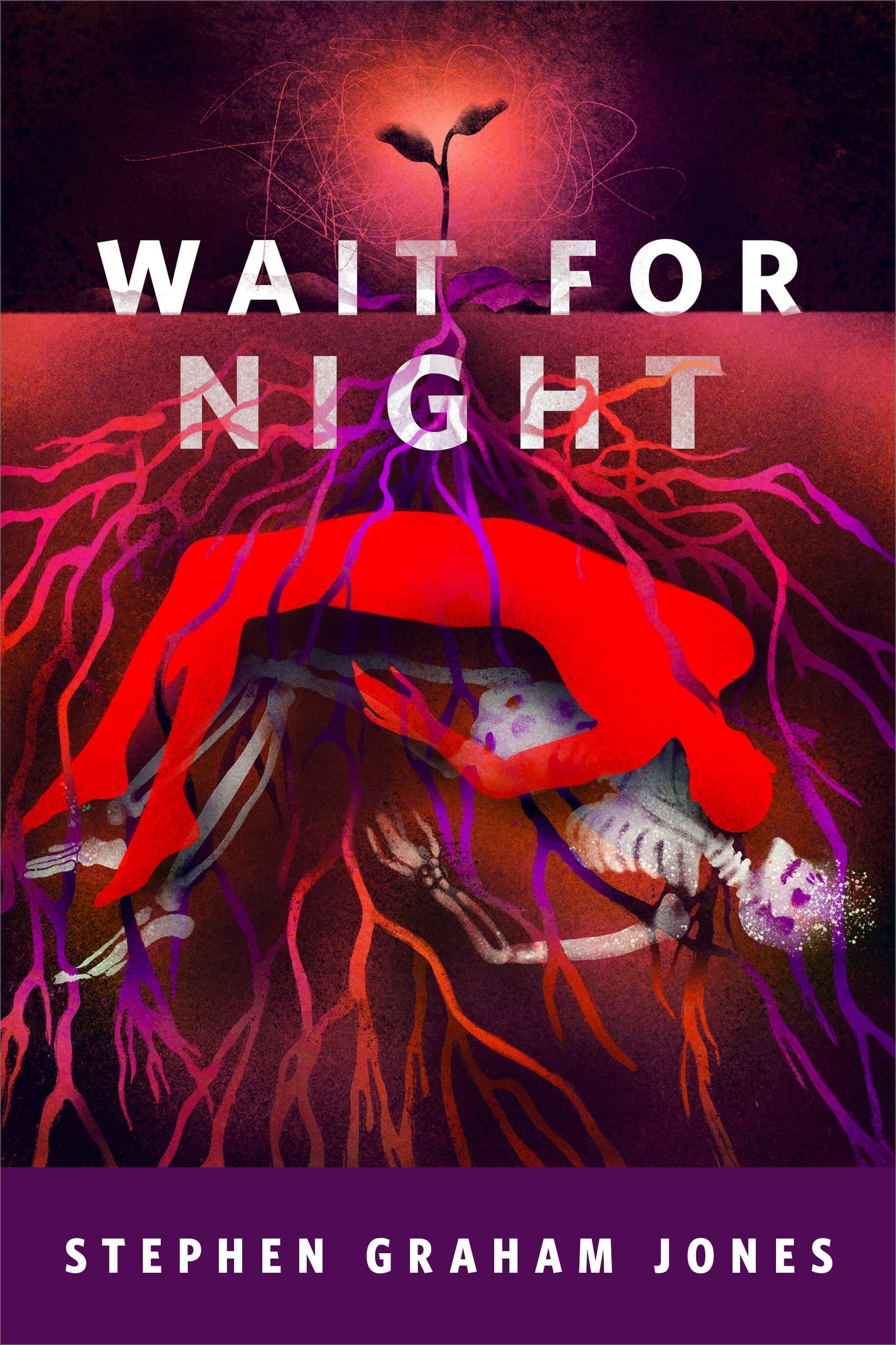 Wait for Night book cover
