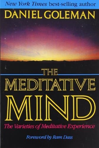 The Meditative Mind: The Varieties of Meditative Experience book cover