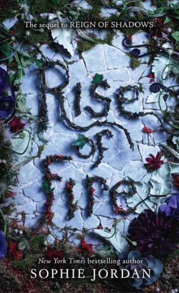 Rise of Fire book cover