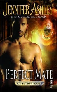 Perfect Mate book cover