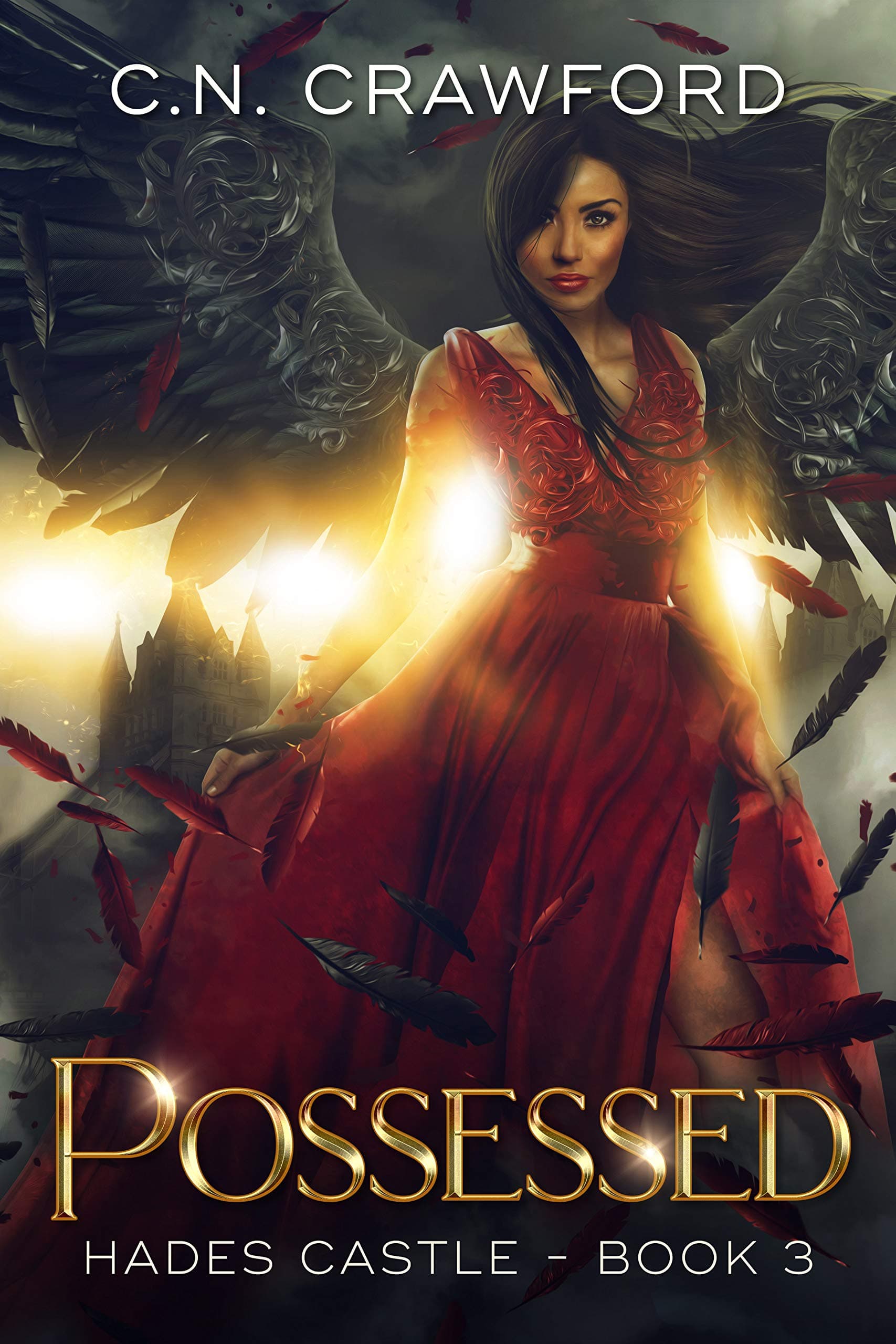 Possessed book cover