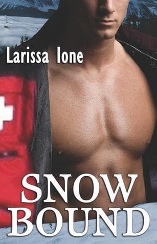 Snowbound book cover