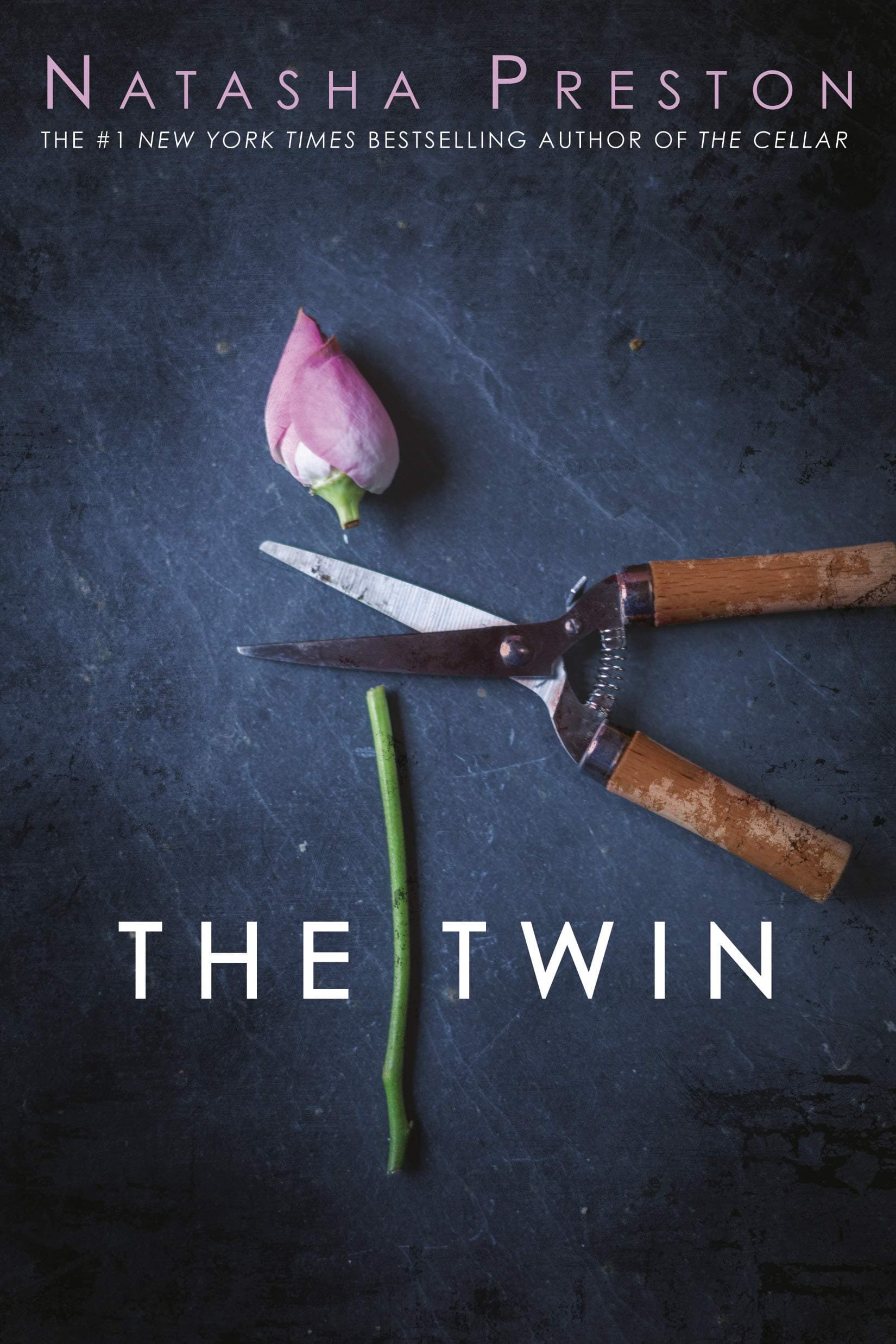 The Twin book cover