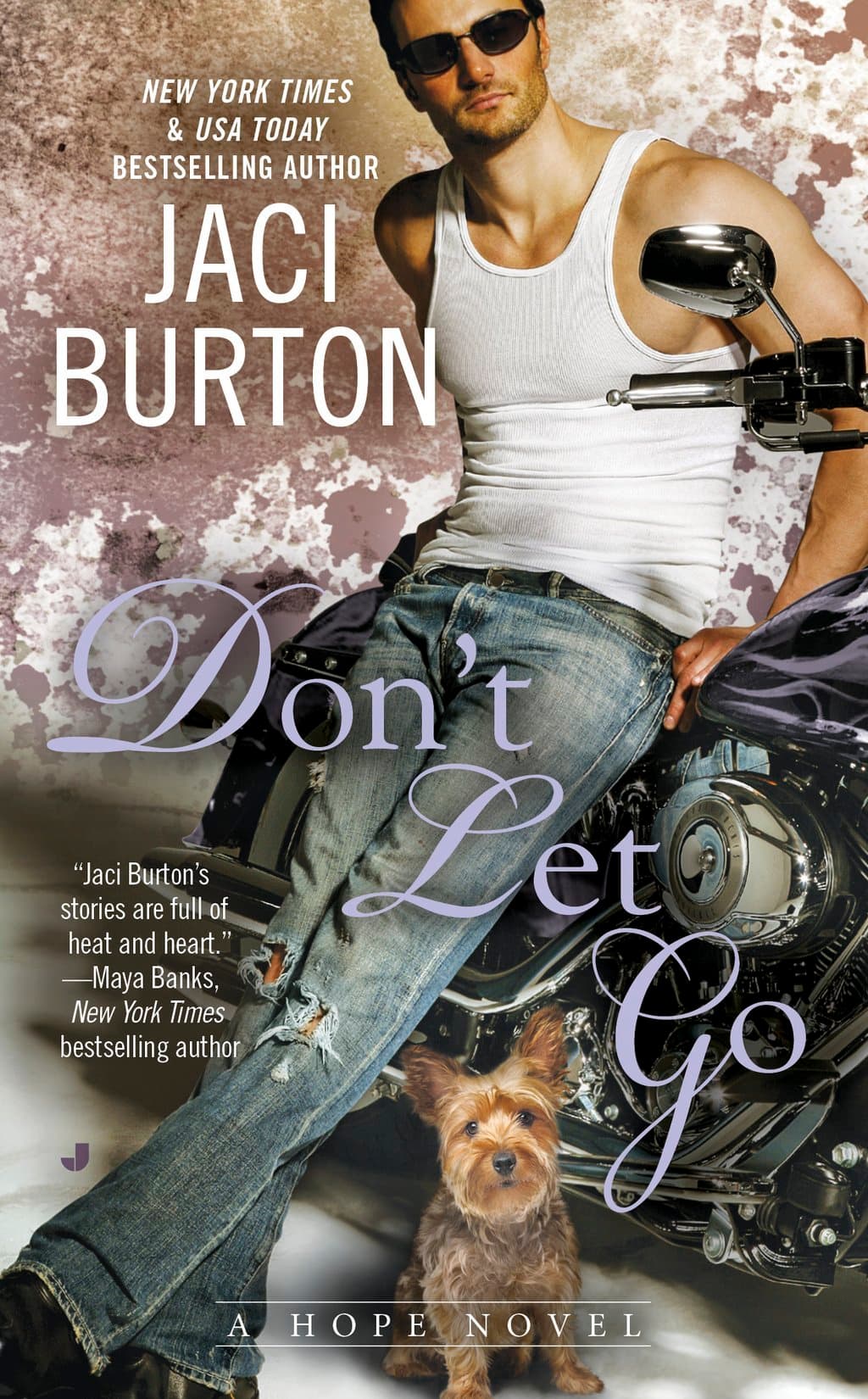 Don't Let Go book cover