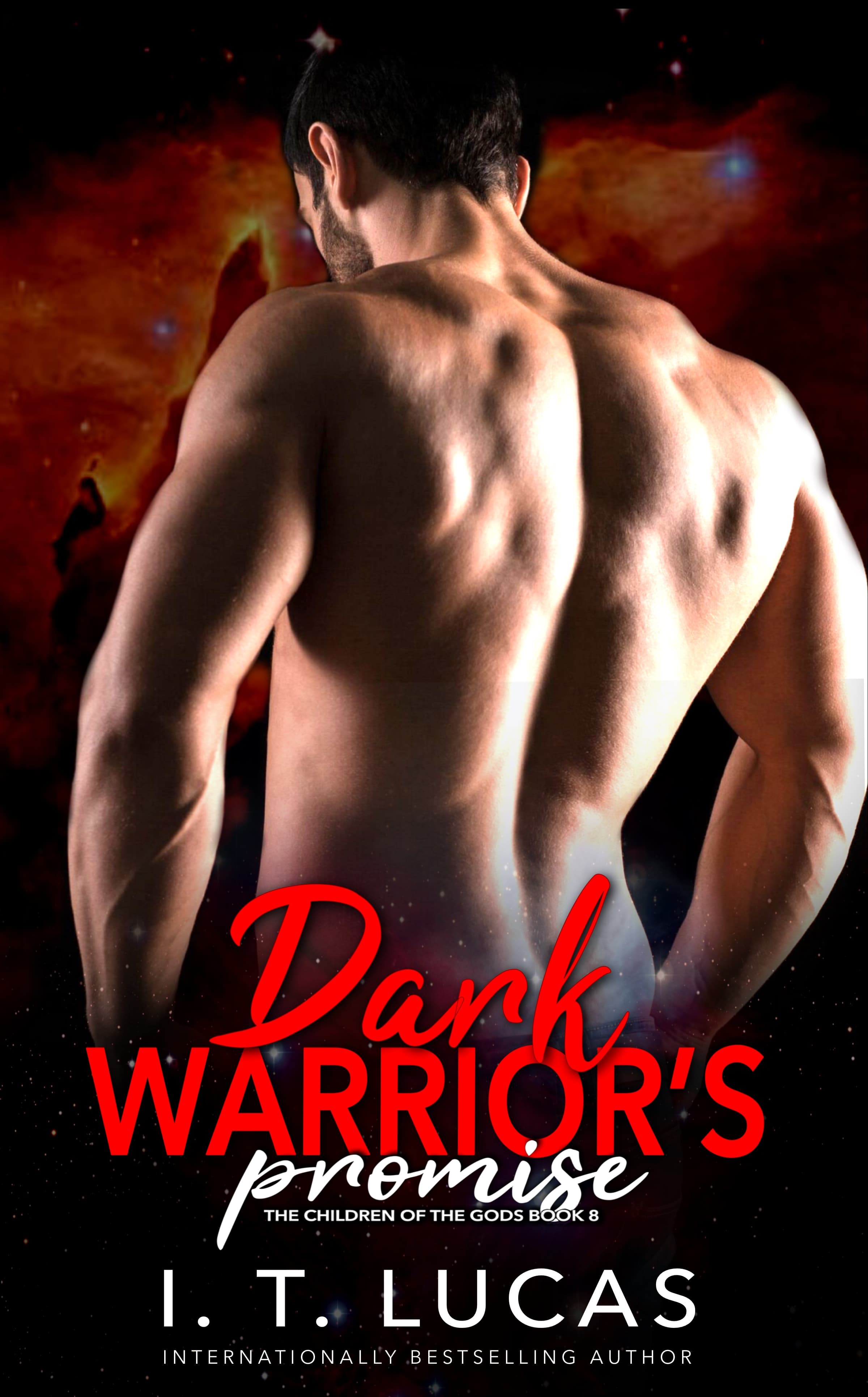 Dark Warrior's Promise book cover