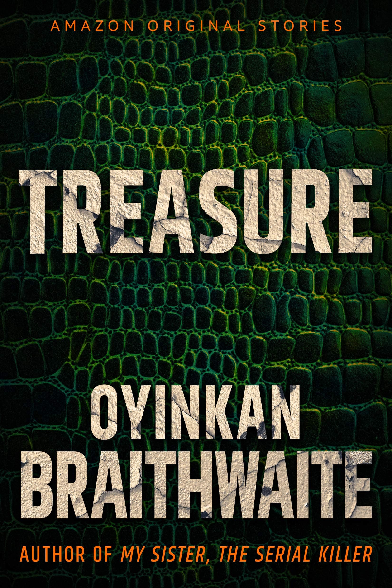 Treasure book cover