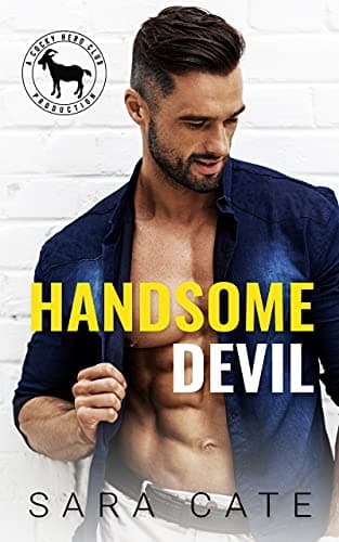 Handsome Devil book cover