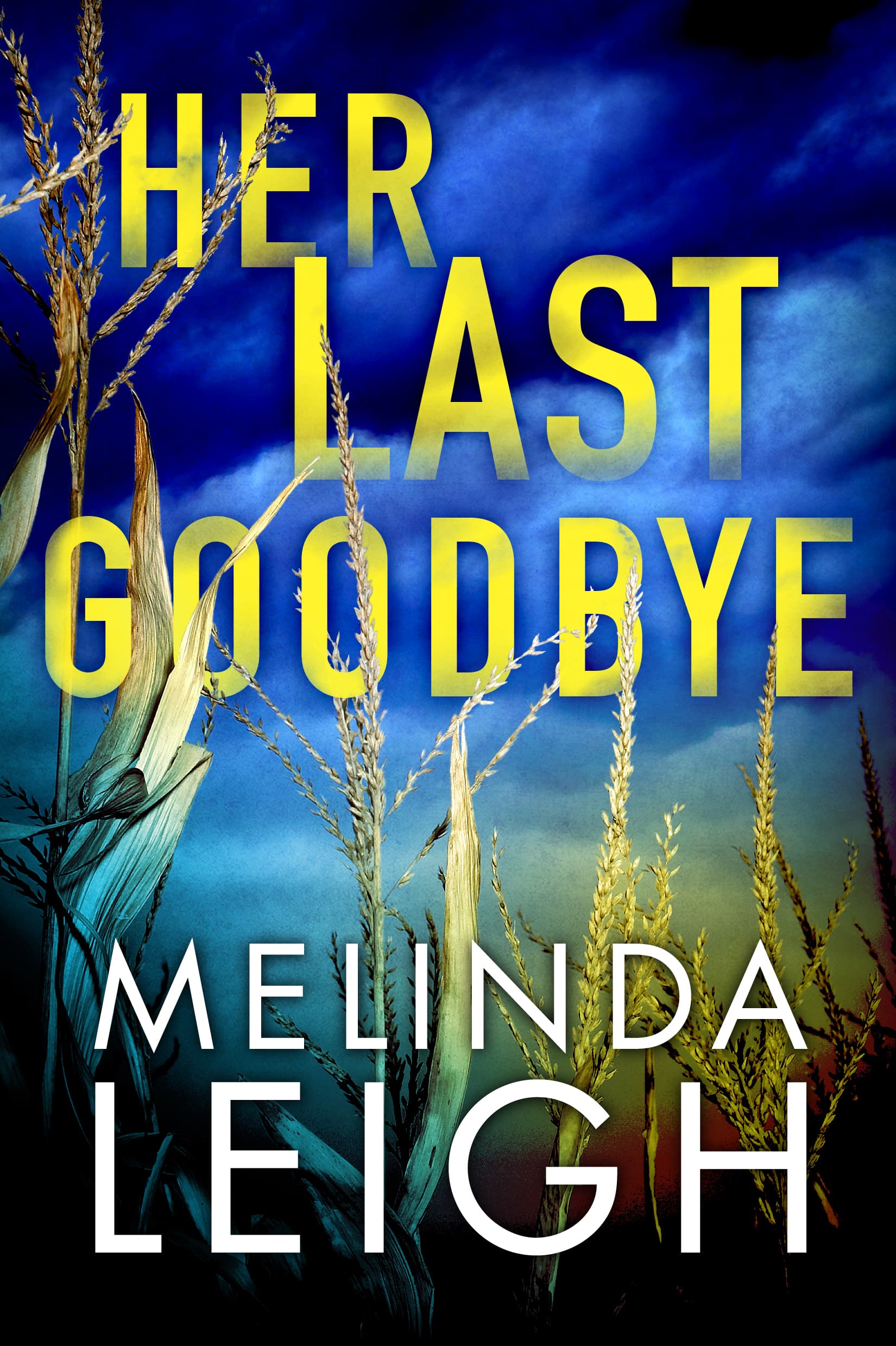 Her Last Goodbye book cover