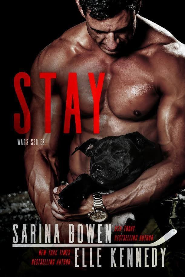 Stay book cover