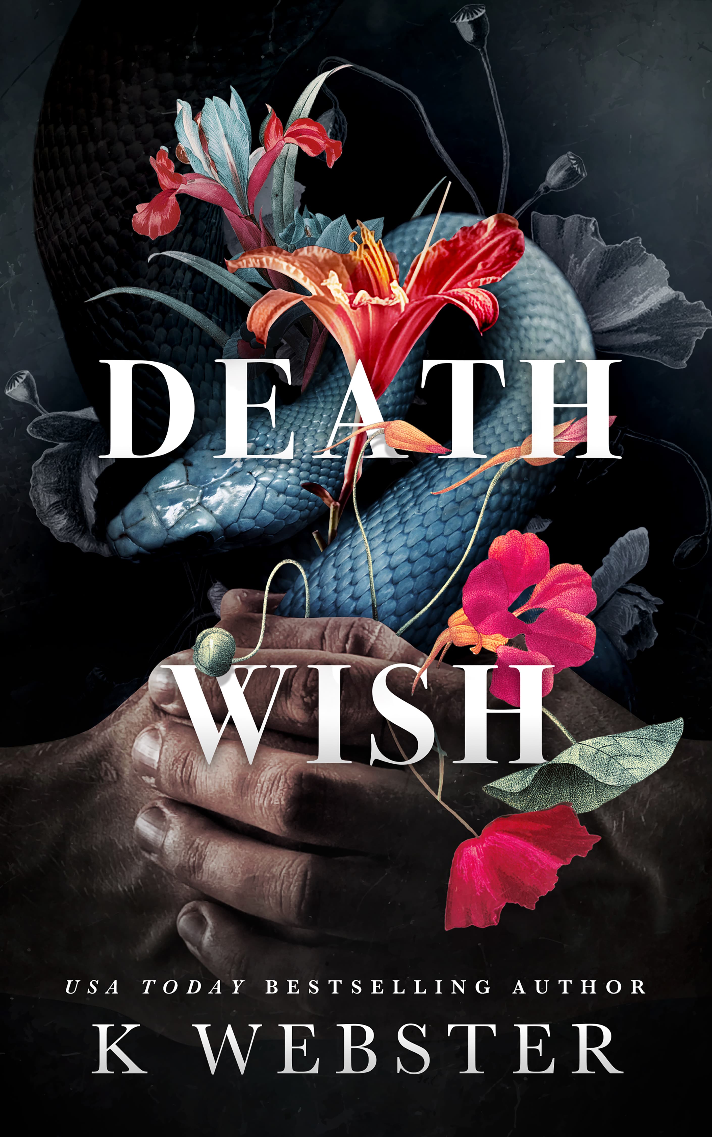 Death Wish book cover