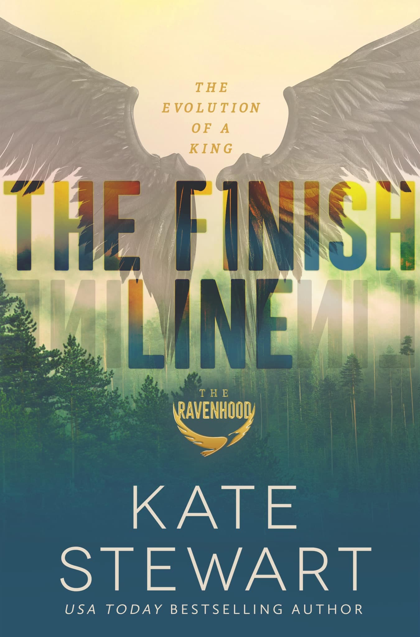 The Finish Line book cover