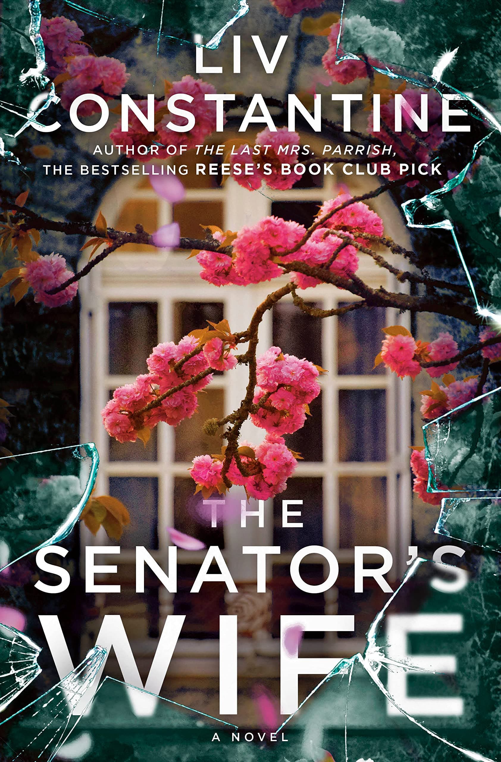The Senator's Wife book cover