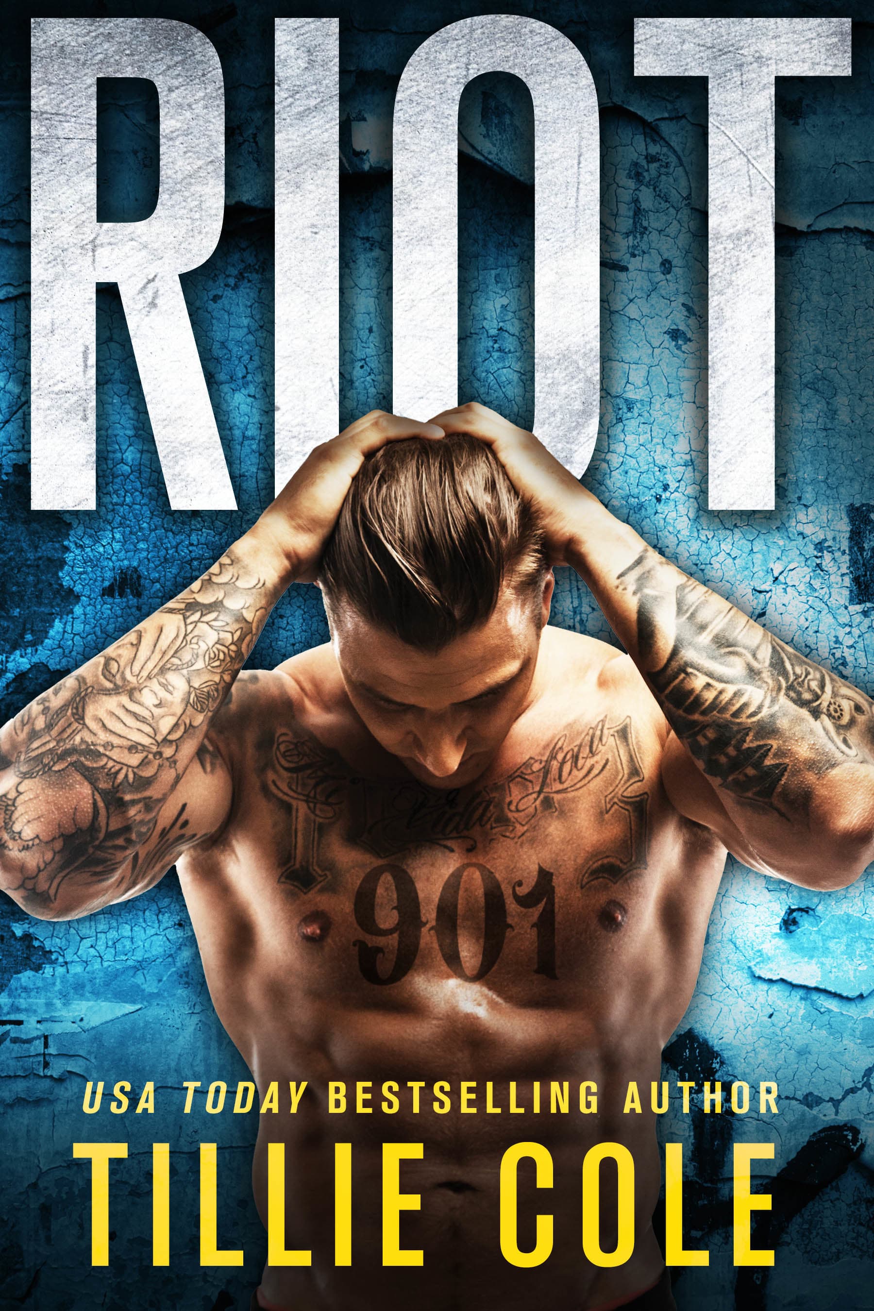 Riot book cover