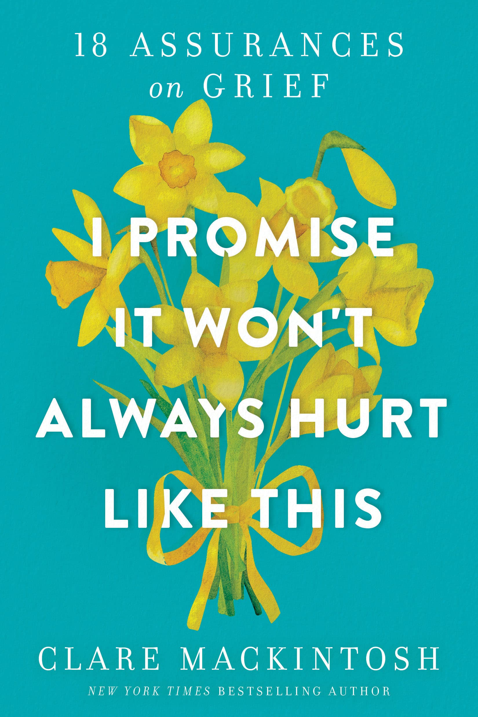 I Promise It Won't Always Hurt Like This: 18 Assurances on Grief book cover