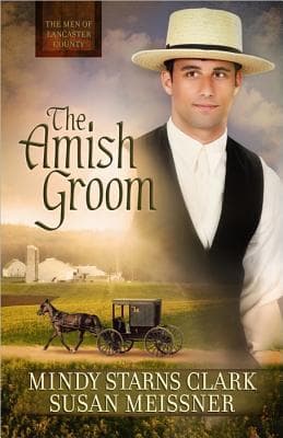 The Amish Groom book cover