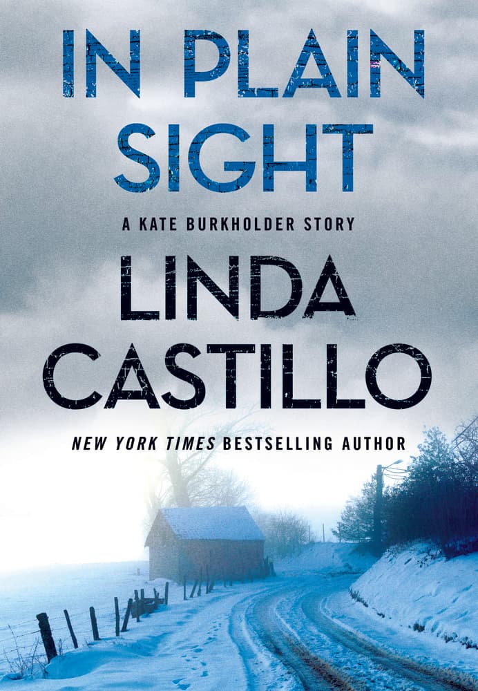 In Plain Sight book cover