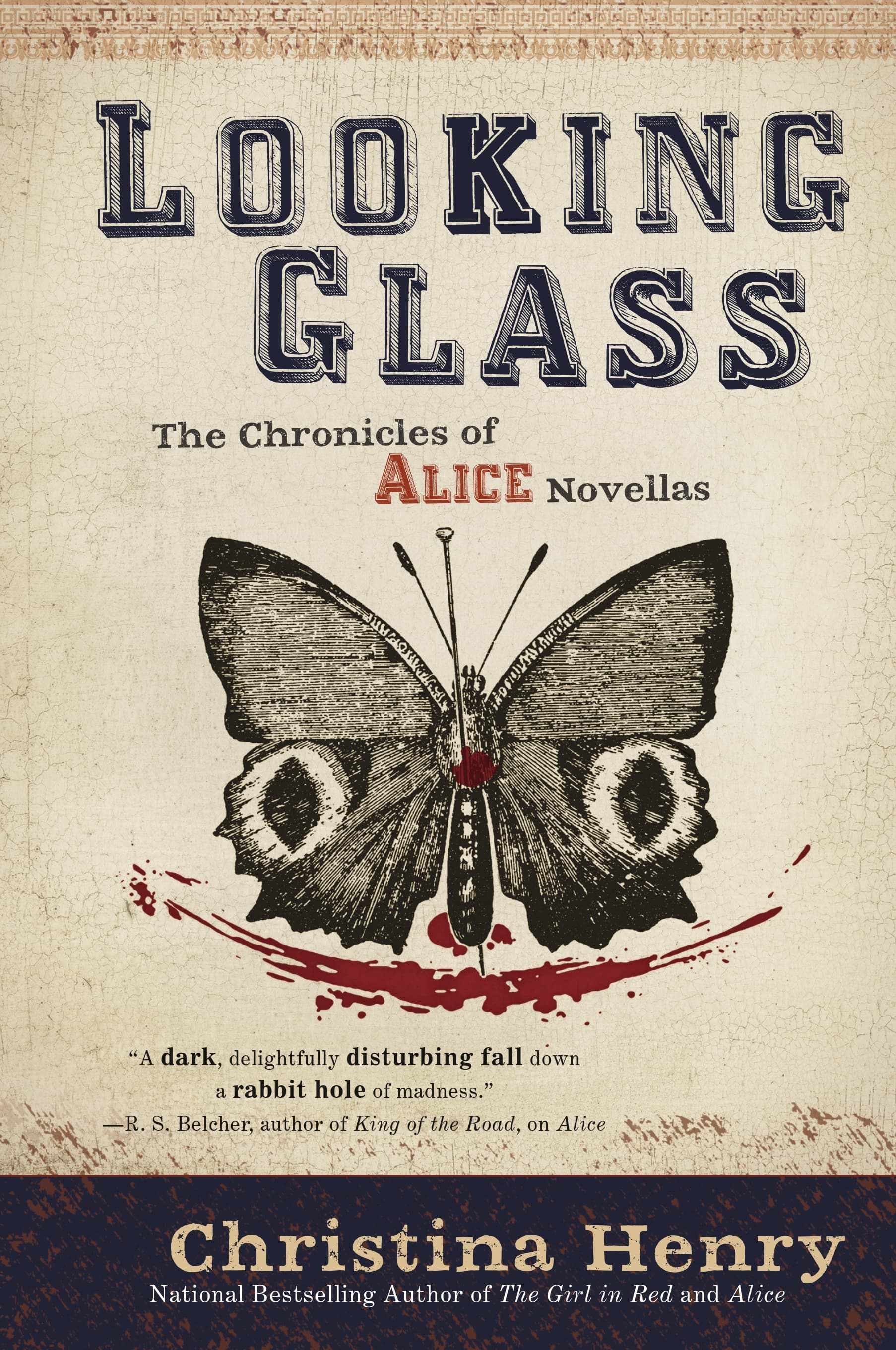Looking Glass book cover