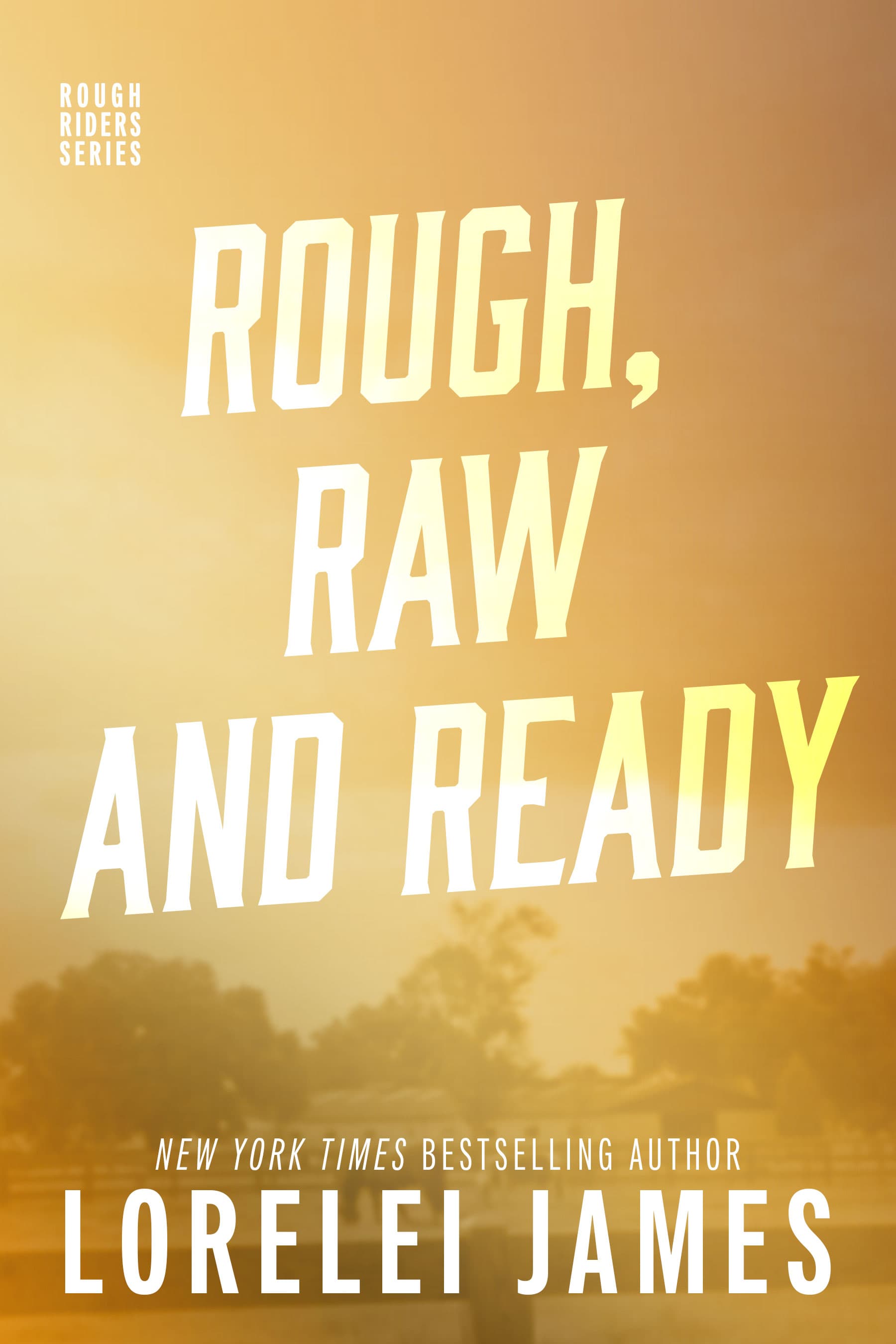 Rough, Raw and Ready book cover