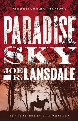 Paradise Sky book cover