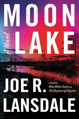 Moon Lake book cover