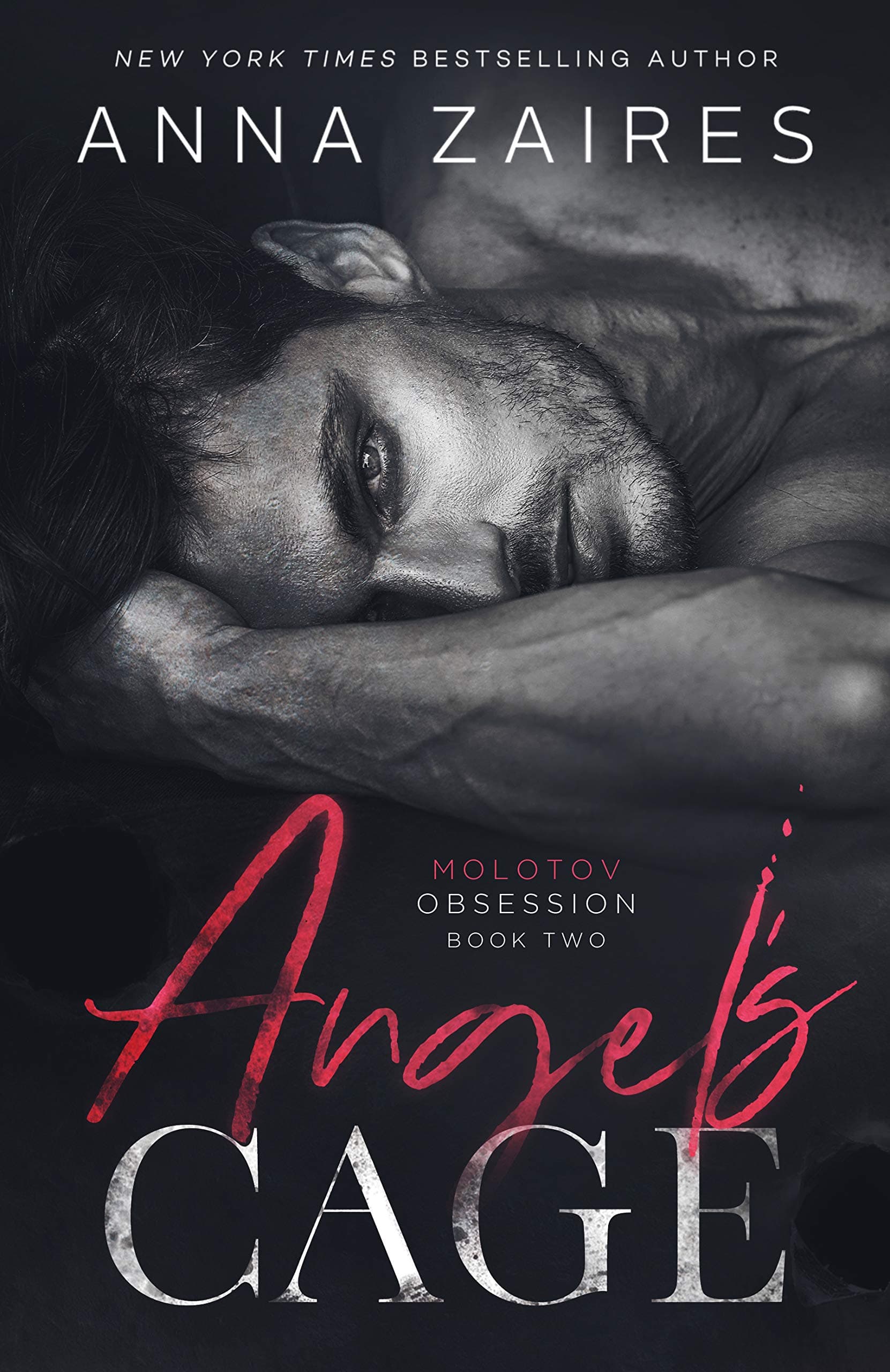 Angel's Cage book cover