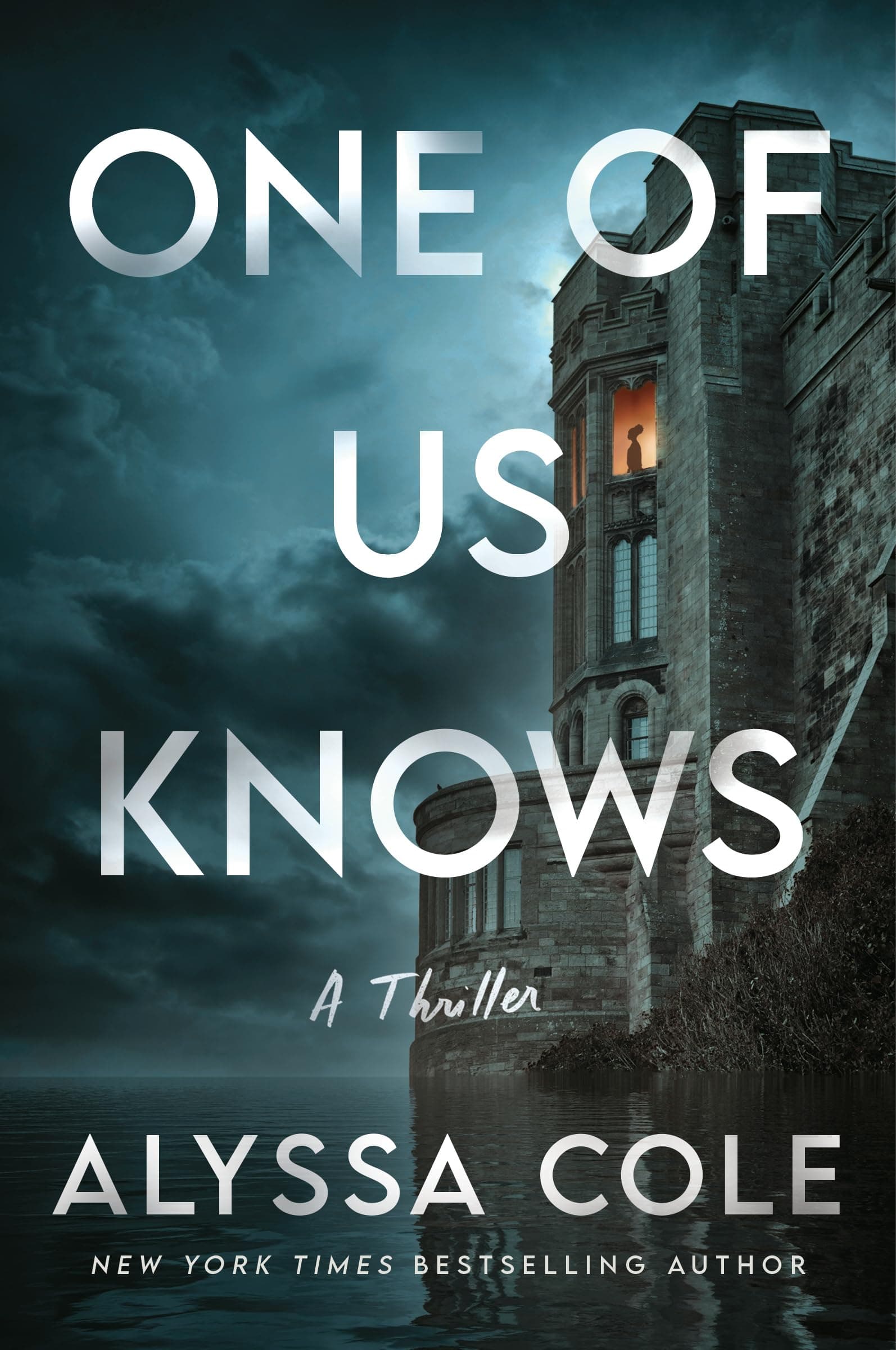 One of Us Knows book cover