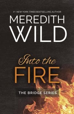 Into the Fire book cover