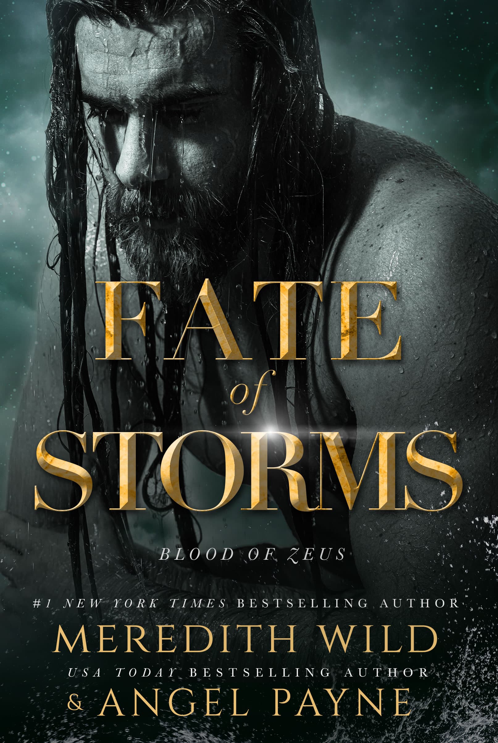 Fate of Storms book cover
