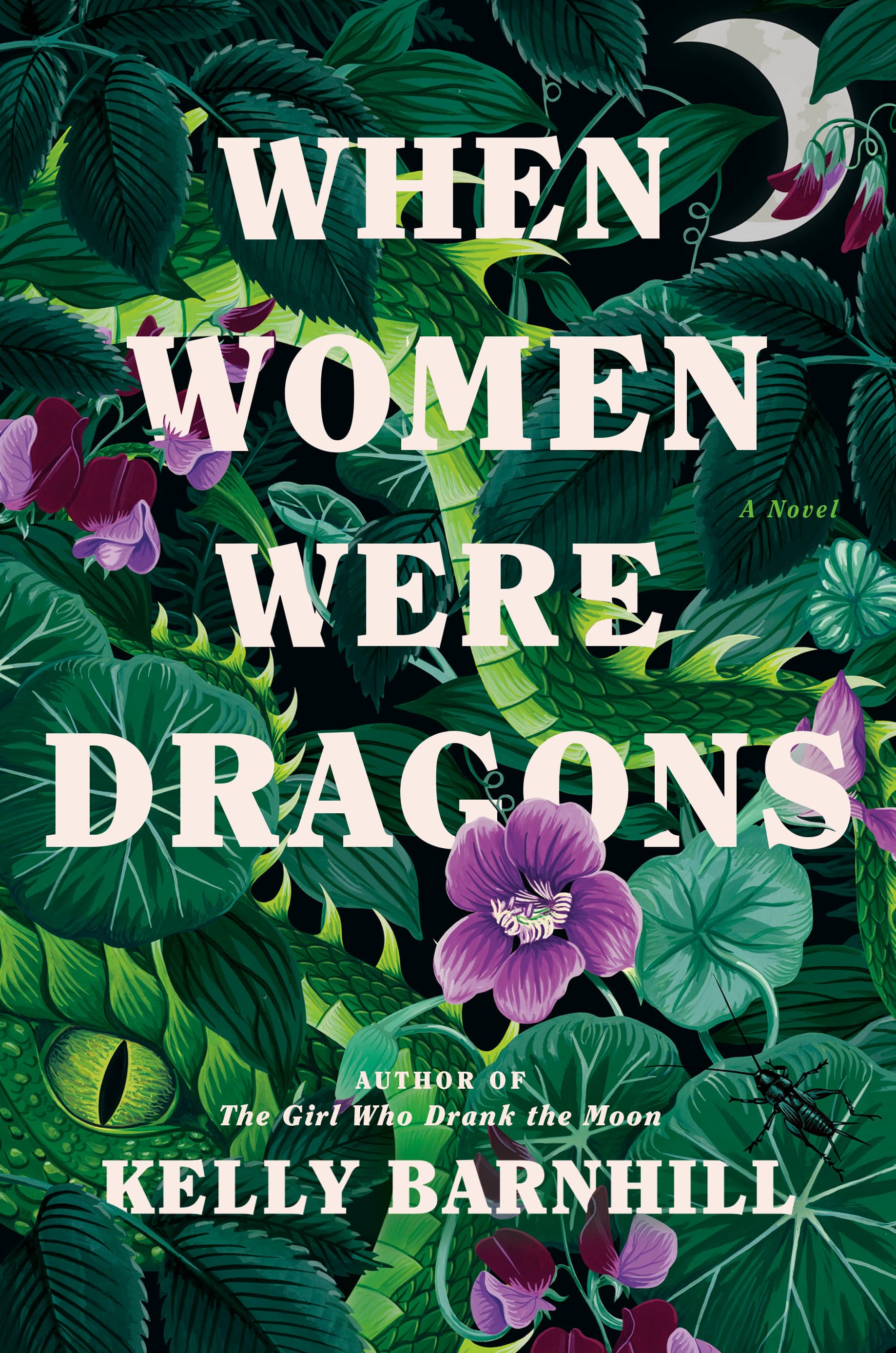 When Women Were Dragons book cover