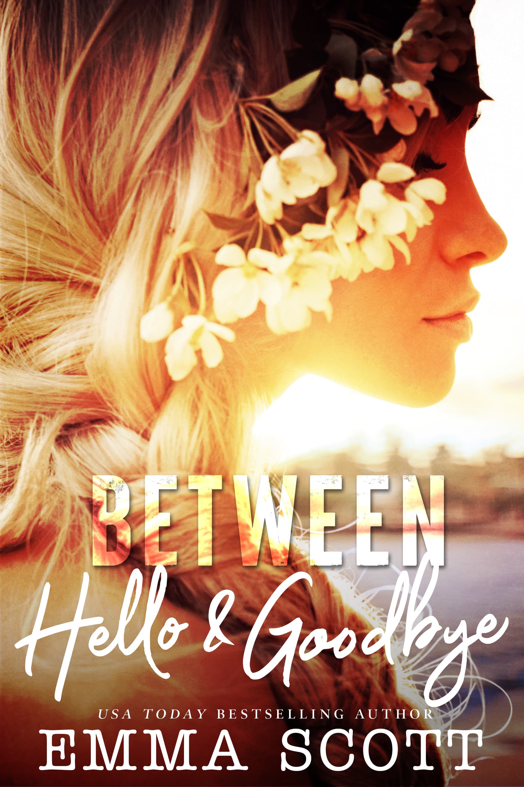 Between Hello and Goodbye book cover