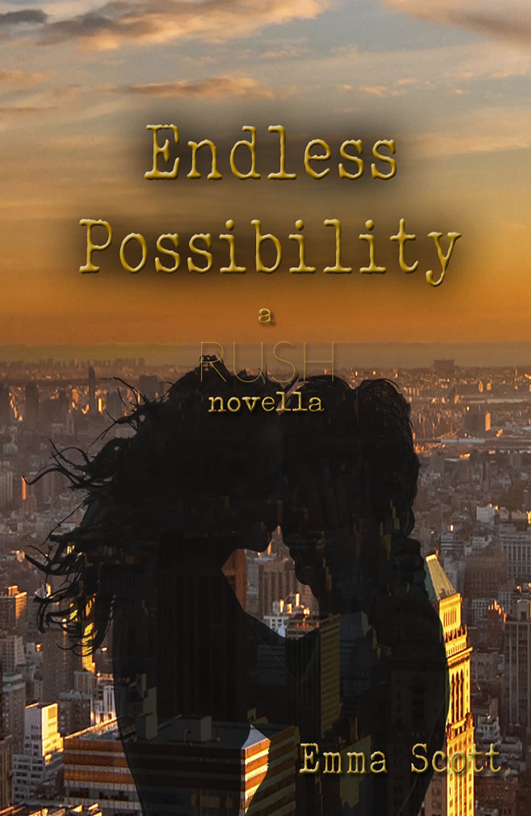 Endless Possibility book cover